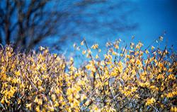 img130_DxO_3_DxO_small.jpg