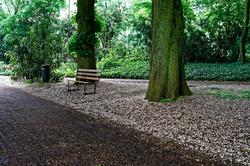 park.jpg